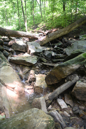 Lower Hopkins Cascade