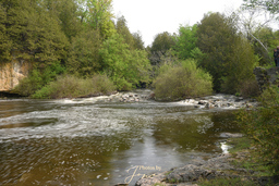 Rockwood Rapids