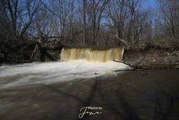 Lynn River Falls